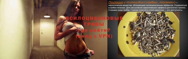 прущая мука Дмитриев