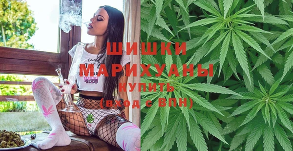 PSILOCYBIN Дмитровск