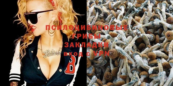 PSILOCYBIN Дмитровск