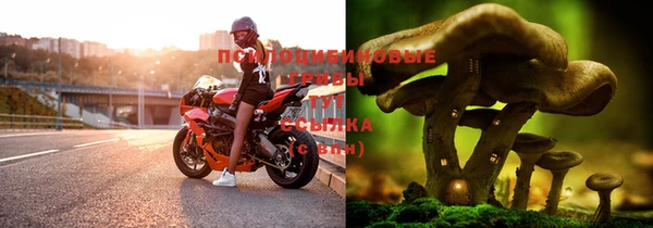 2c-b Дмитров