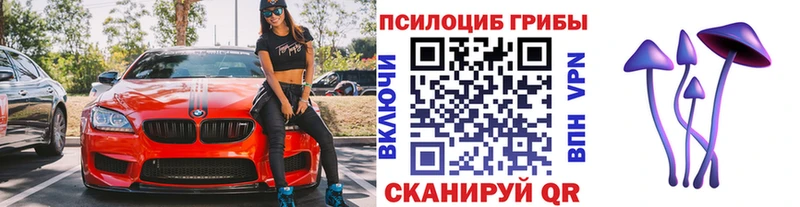 Галлюциногенные грибы мицелий Новоалександровск
